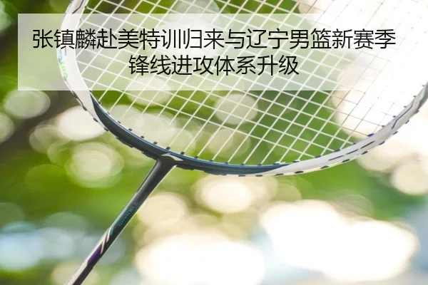 张镇麟赴美特训归来与辽宁男篮新赛季锋线进攻体系升级