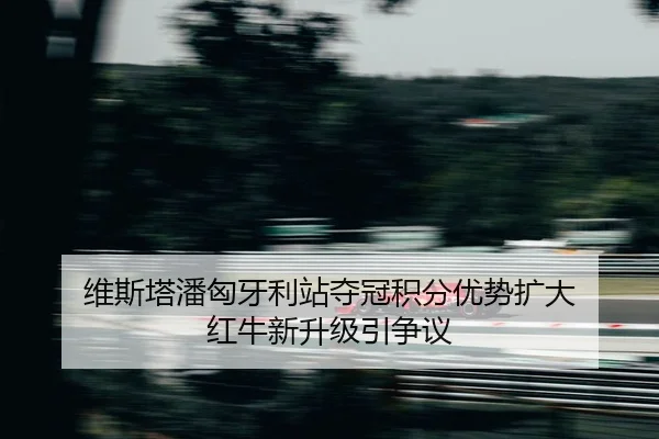 wei-si-ta-pan-xiong-ya-li-zhan-duo-guan-ji-fen-you-shi-kuo-da-hong-niu-xin-sheng-ji-yin-zheng-yi-1-693.jpg